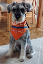 バロン