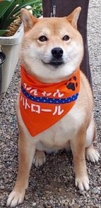 おまめ2