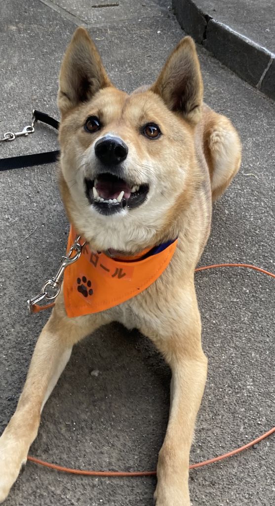ショコラ