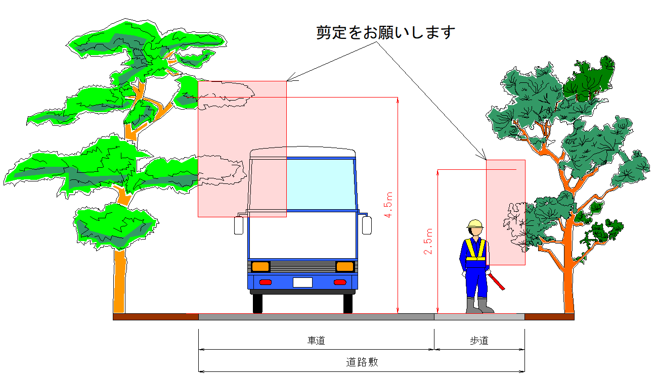 道路への倒木・枝の張り出し例