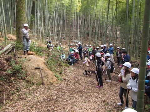 竹林の開けた場所の石の上でマイクを持ち話をしている男性と、男性の話を聞いている参加者達の写真