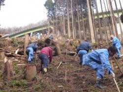 木が伐採された山の斜面で沢山の参加者が作業をしている写真