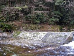 石塀の奥に木々が生い茂り、手前に川の水が流れている享保水路井堰の写真