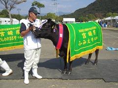 和牛を撫でている男性の写真