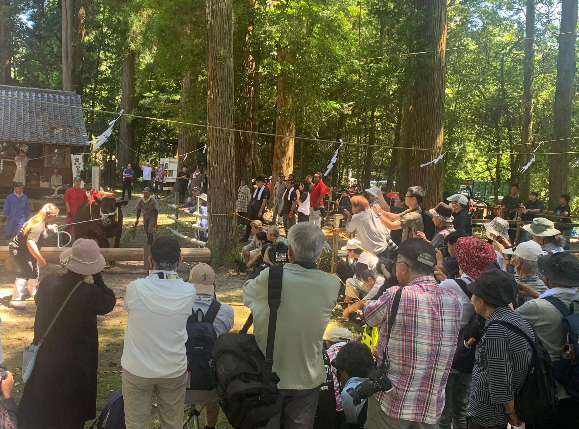 会場の様子