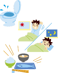 朝食と生活リズム