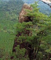 森林の中にそびえ立つ巨大なクルソン岩(メンヒル)の写真