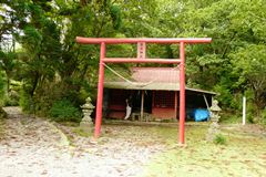 赤い小さな鳥居の先に社がある六観音堂(豊受神社)の写真