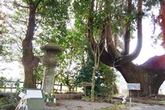 木崎原古戦場跡の風景を現した写真の画像