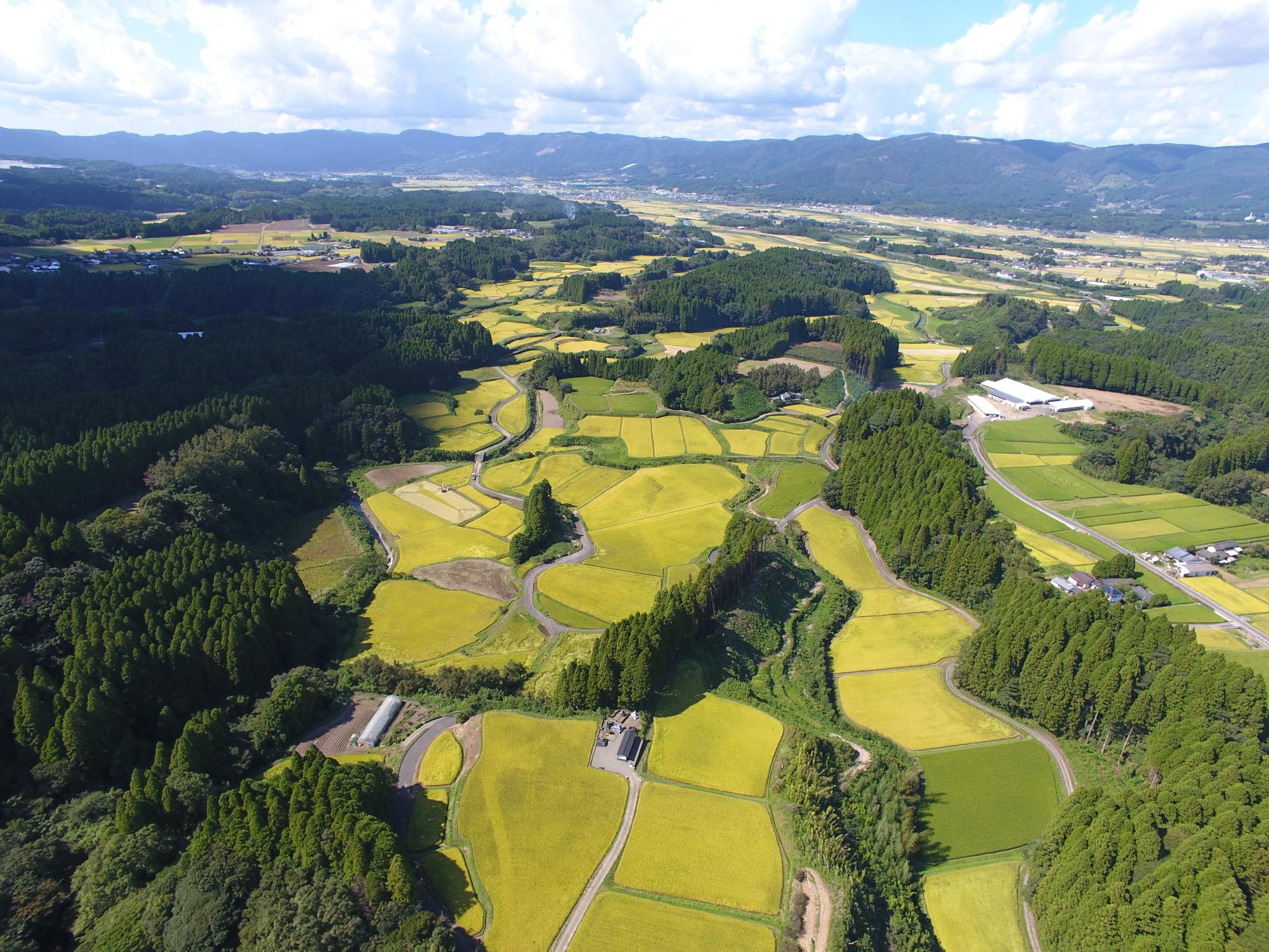 田畑の広がる出水地区を上空から写した写真