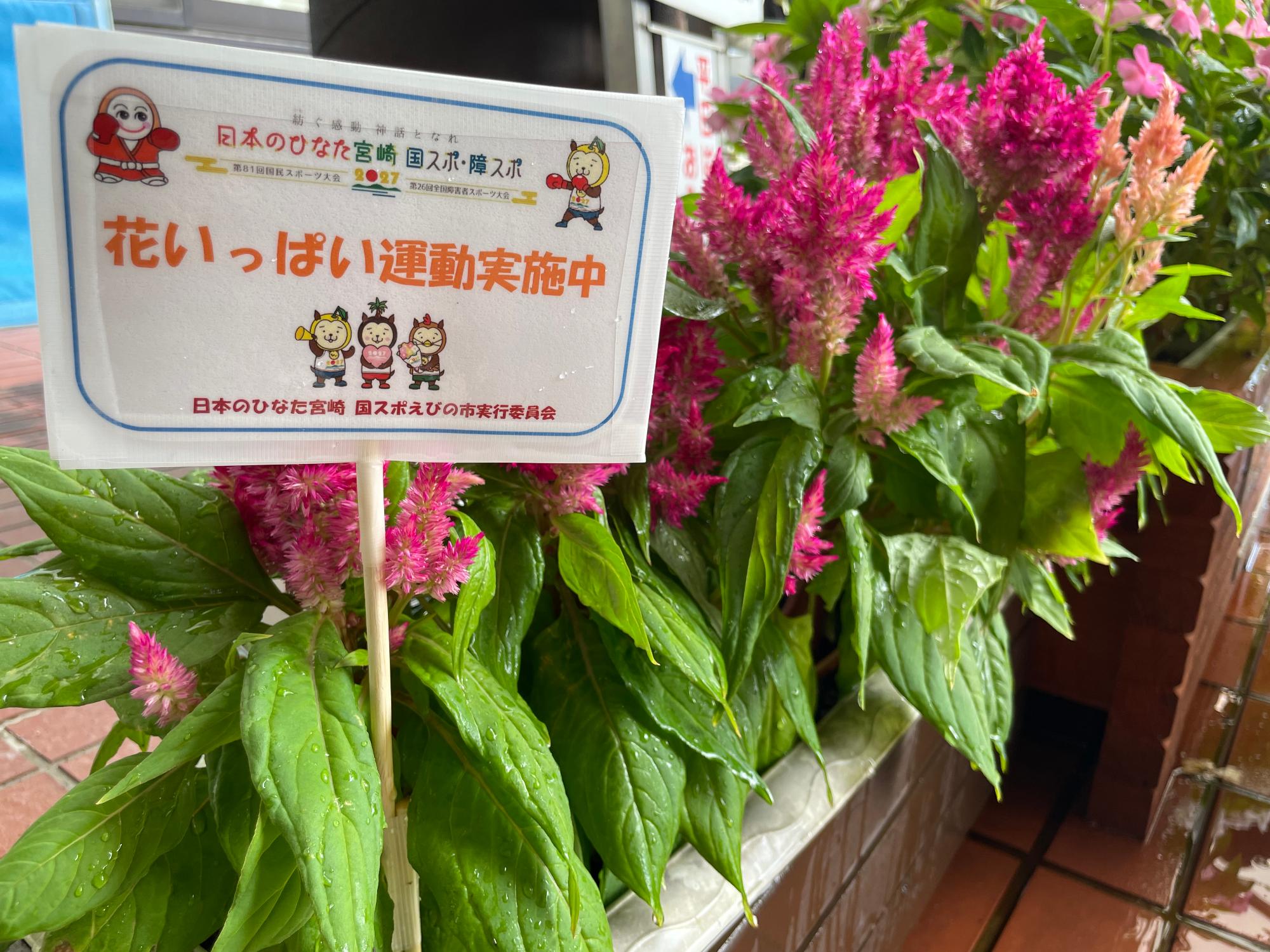「花いっぱい運動実施中」のラベルが目印