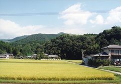 周囲を山に囲まれ民家が点在し、田んぼに稲が実っている加久藤城跡の写真
