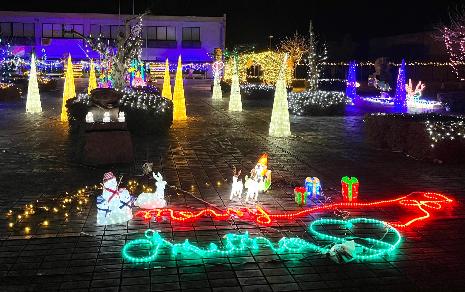 イルミネーション1