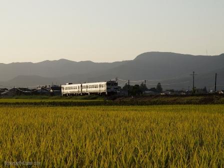 手前の田んぼに稲が育ち、奥には電車が走っている風景が写っている写真
