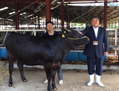 飼育場で黒い牛とその脇で立っている市長と1名の男性の写真