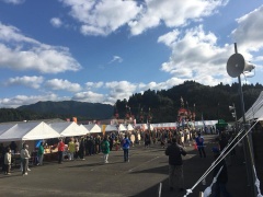 沢山の白いテントが並んだえびの市産業文化祭の会場の様子を写している写真