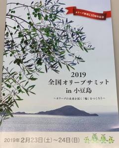 2019全国オリーブサミットin小豆島の文字とオリーブの葉の絵が描かれた資料表紙の写真