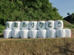 「消毒ありがとう」のメッセージが稲発酵粗飼料に1文字ずつ書かれ並べられている写真