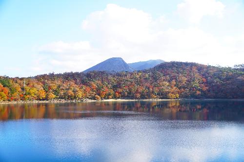 自然環境の保全などに関する事業の例